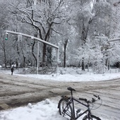 User avatar for Asher Atkinson