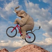 User avatar for Clement Gurrey