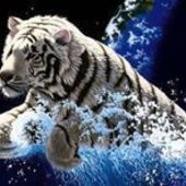 User avatar for Bart Decat