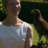 User avatar for Veerle De Smedt