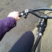 User avatar for Liesbeth Lievens