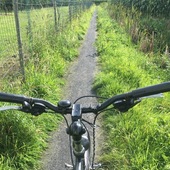 User avatar for Marc Hooftman