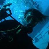 User avatar for Sarah Timmermans