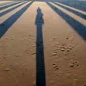 User avatar for Leen Claes