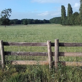 User avatar for Annelies Vermeiren