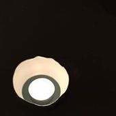 User avatar for Nele Fraeyman