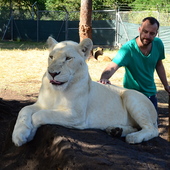 User avatar for Aleksandrs Navojevs