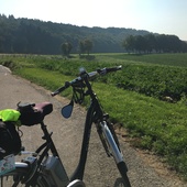 User avatar for Anita Boogaerts