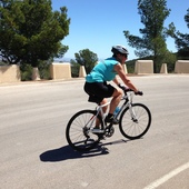 User avatar for Annelies Haek