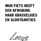 User avatar for Vandewalle Liesbet