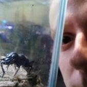 User avatar for Alex Watt