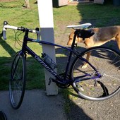 User avatar for Nicole Forbes