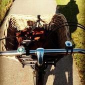 User avatar for Melissa Sandron