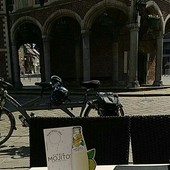 User avatar for Sylvia Wilkens