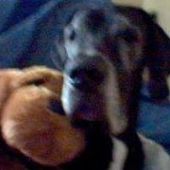 User avatar for Gunter Devisser