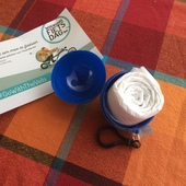 User avatar for Marijke De Beul