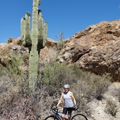 User avatar for Lee Aalund