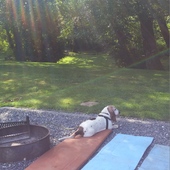 User avatar for Kathryn Shane Kumler