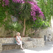 User avatar for Liliane Sauviller