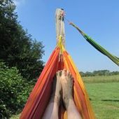 User avatar for Sofie Poelmans