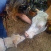 User avatar for Caroline Spek