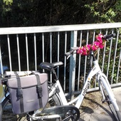 User avatar for Ann Bohez