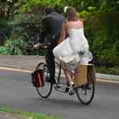 User avatar for Alan Lane