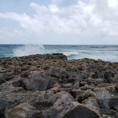 User avatar for Stewart Wang