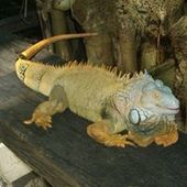 User avatar for Egon Heinrichs