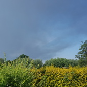 User avatar for Renild Claes