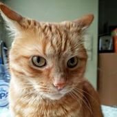 User avatar for Kathelijne Sierens