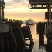 User avatar for Ed Noland