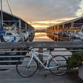 User avatar for Laura Wick