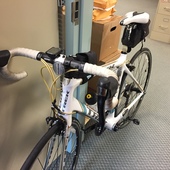 User avatar for Michele Des Brisay