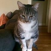 User avatar for Angie Dixon