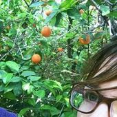 User avatar for Lily Doebler