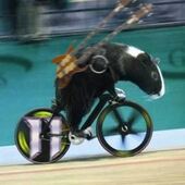 User avatar for Nathaniel Smith