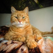 User avatar for Rudy Hole