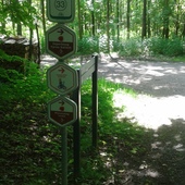 User avatar for Janique dedrijvere