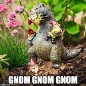 User avatar for Ronda Wery