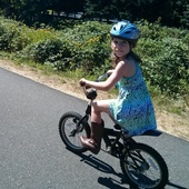 User avatar for Lisa Shafer