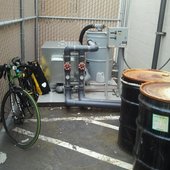 User avatar for Amy  Ticycle