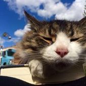 User avatar for Joanna Macrae