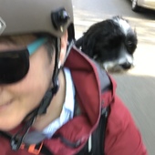 User avatar for Judith Gray