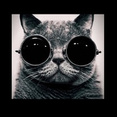 User avatar for Dan Tower