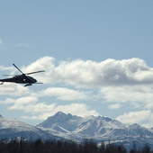 User avatar for Chris Palmer