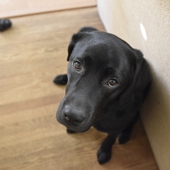 User avatar for Logan Collier