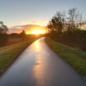 User avatar for Katrien Morez