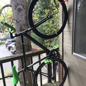 User avatar for Moses Zeiger