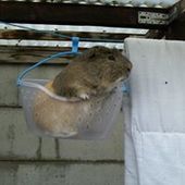 User avatar for Alexandra Deberdt